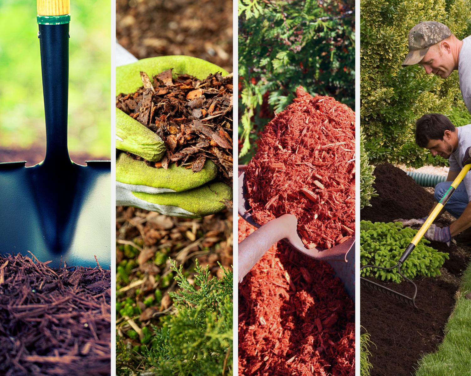 mulch your garden for spring