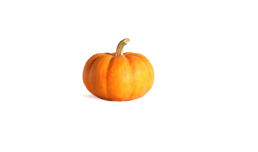 Wholesale Fall | Bumpkins