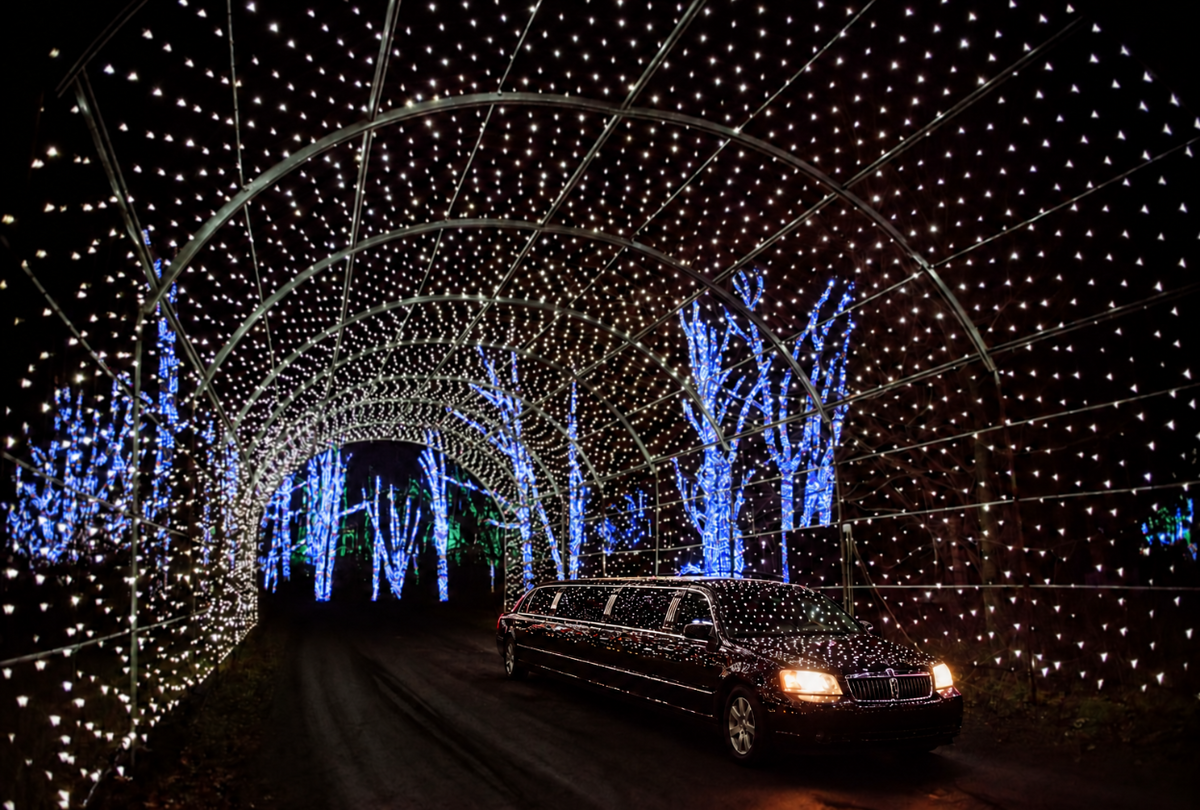 A black stretch limousine covered in white holiday lights drives along a road under a tunnel of glowing white lights, with blue-lit trees in the background at night.