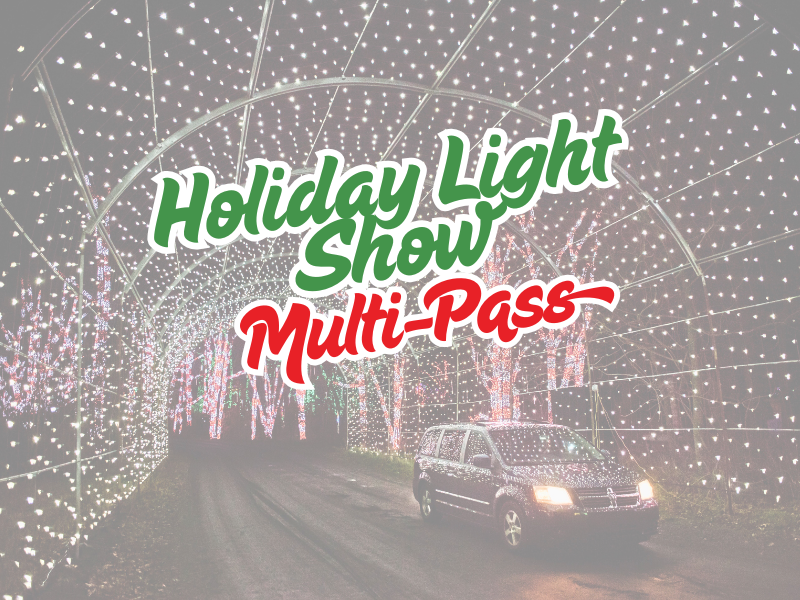 Holiday Light Show Multi Pass