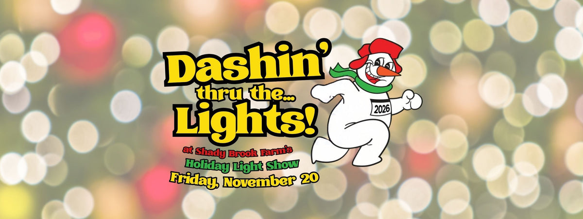 Promotional graphic for 'Dashin' thru the Lights!' holiday light show, featuring a cartoon snowman mascot wearing a red Santa hat and green scarf against a festive blurred bokeh background of lights.