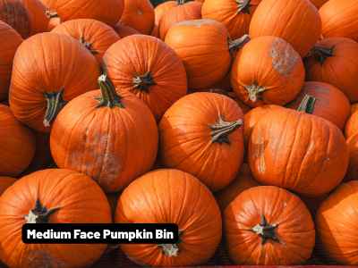 Wholesale Fall | Medium Face Pumpkin Bin