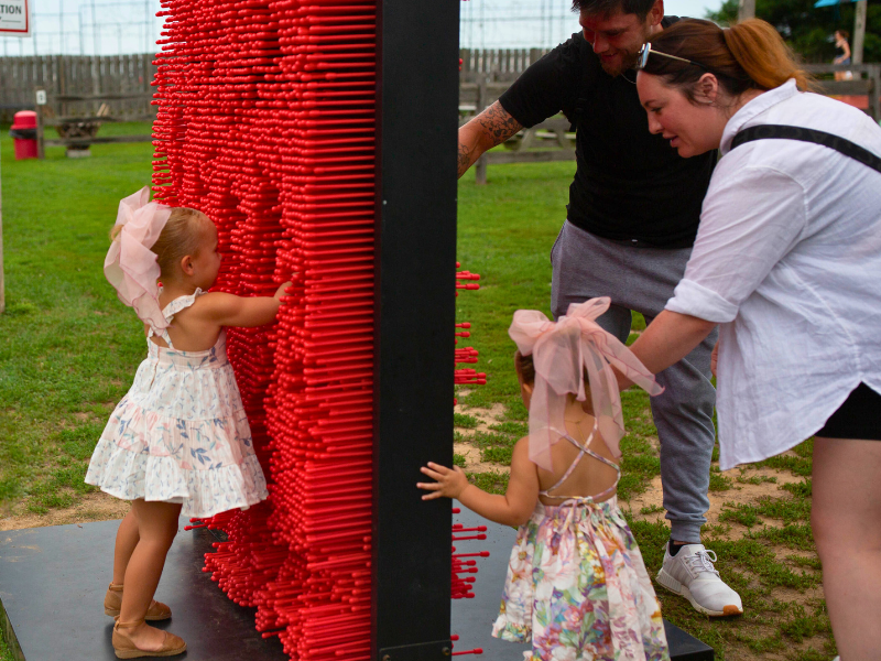 π§€ Giant Pin Wall