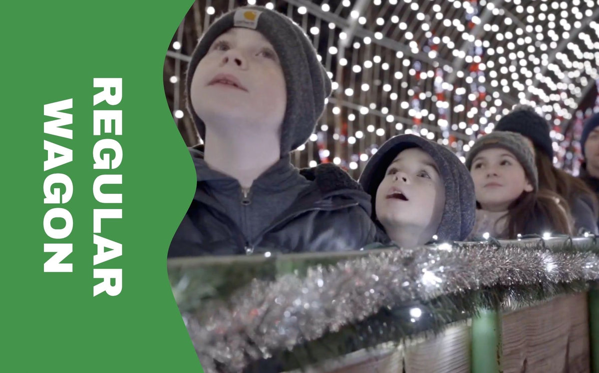 Holiday Light Show Wagon Rides