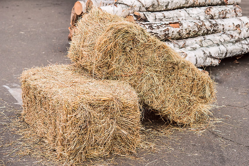 Straw - Decor / Seeding