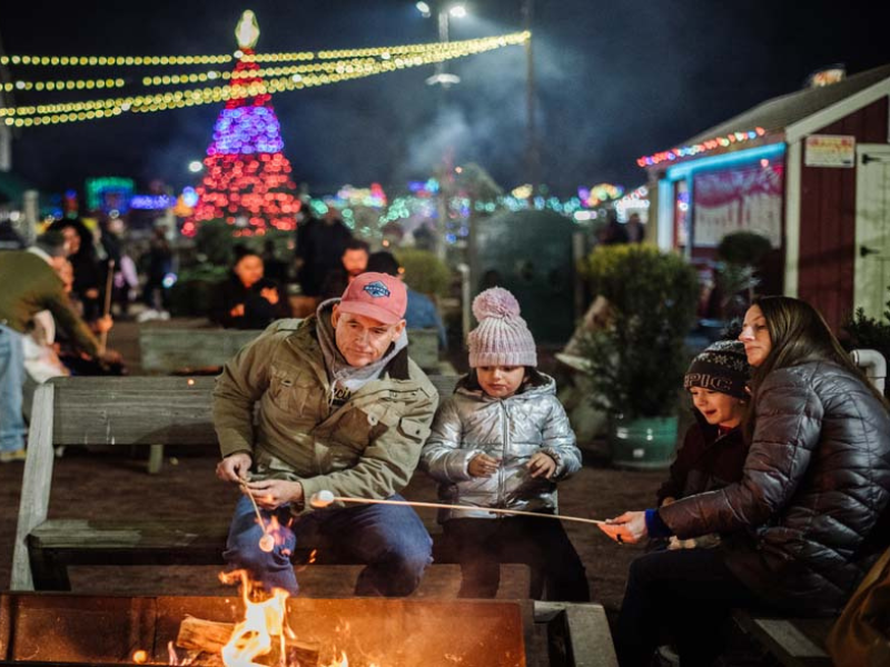 Holiday Private Campfire Sites