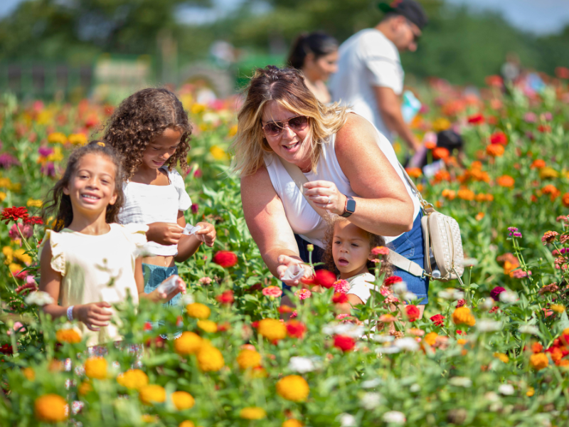 Woman and children in a field of flowers, enjoying a sunny day outdoors.