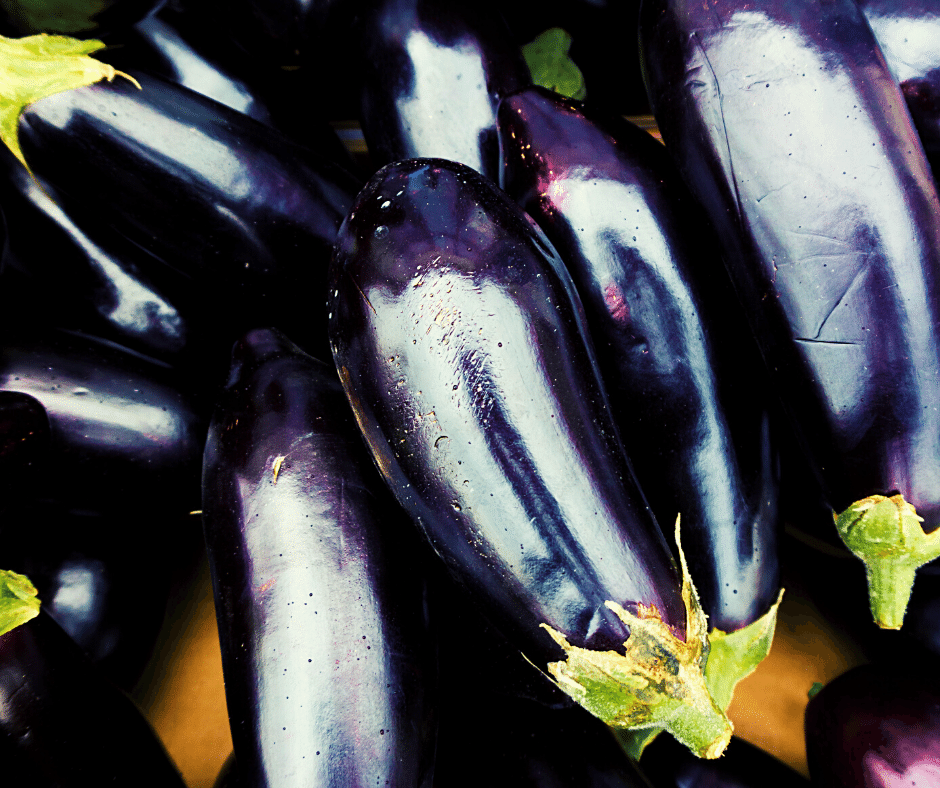 Eggplant Purple, homegrown