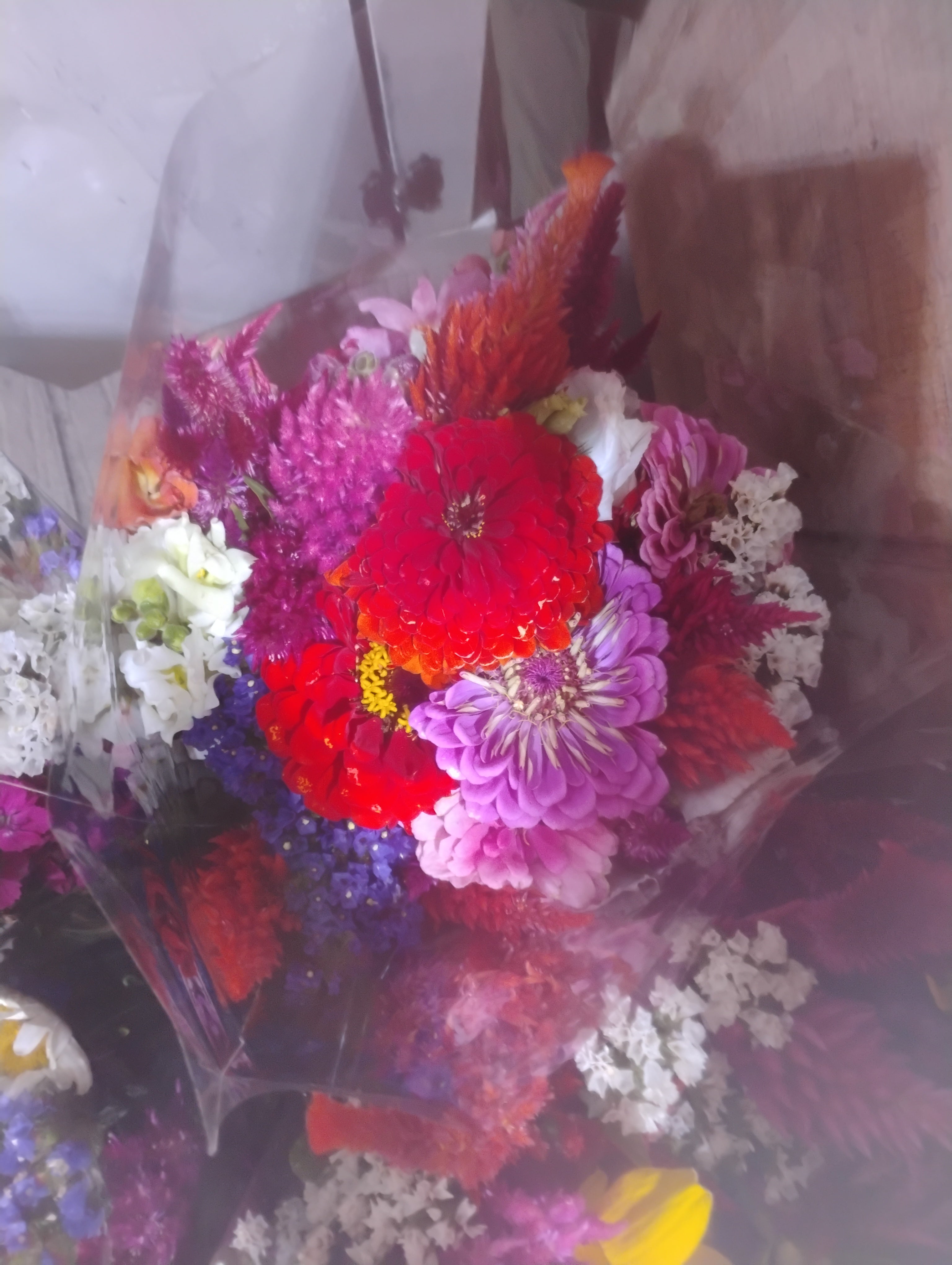 Cut Flowers