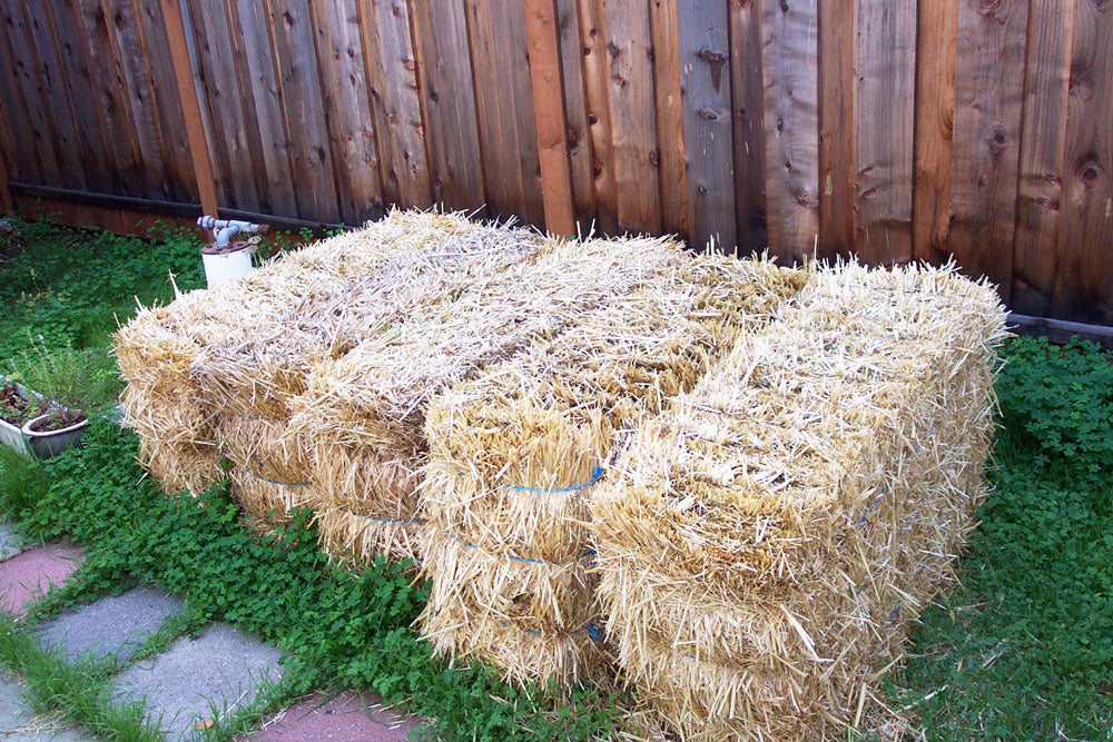 Straw (Hay is for Horses)