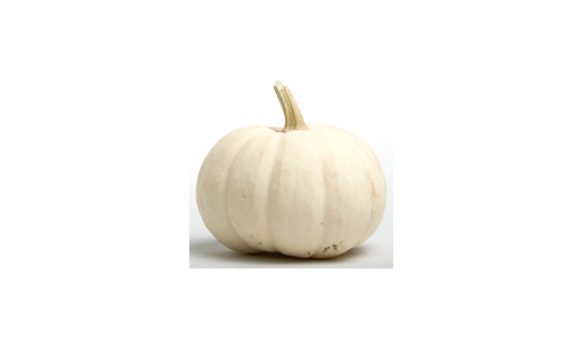 Wholesale Fall | Baby Boo pumpkins (Casperita- white munchkins)