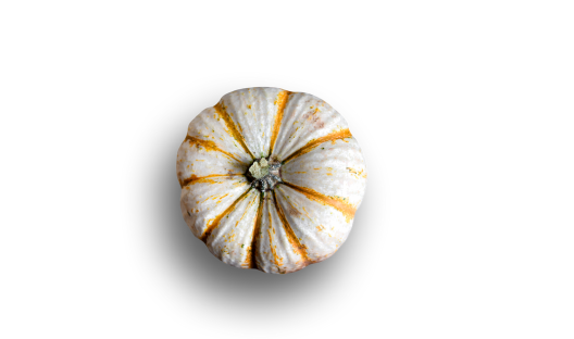 Wholesale Fall | Hooligans Pumpkins