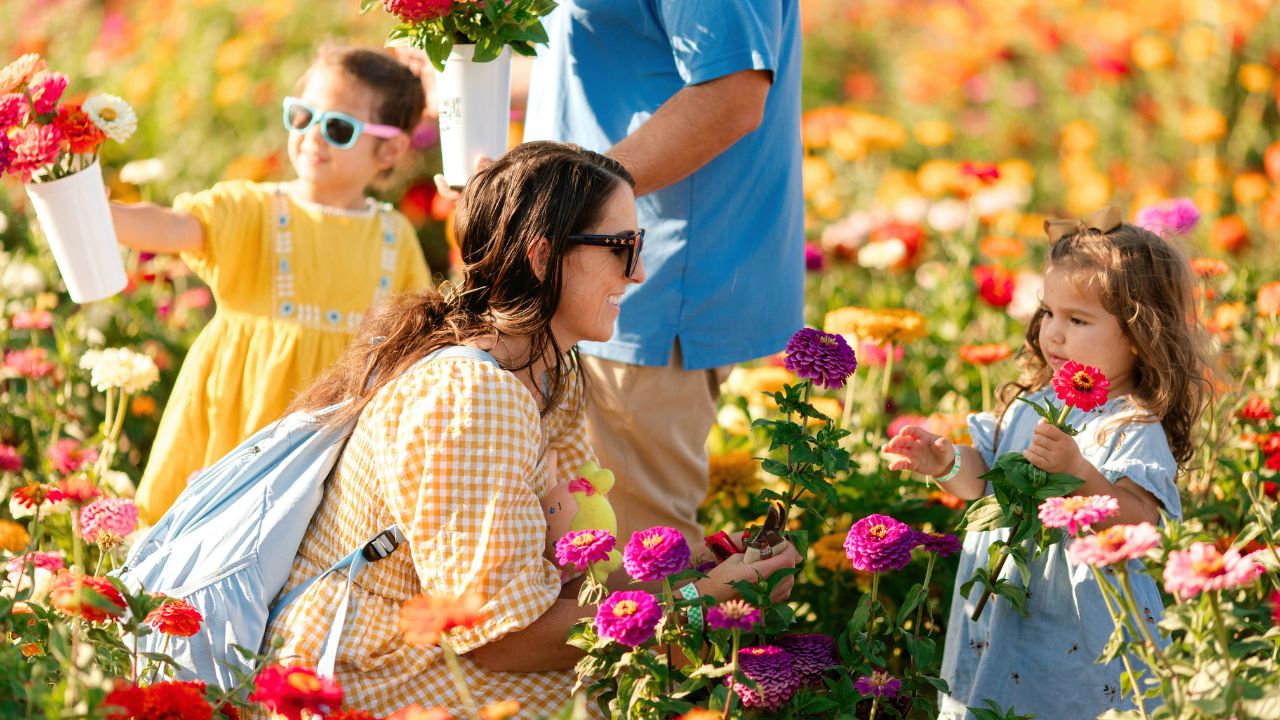 Pick Your Own Crops - Wed to Sun from 9 AM to 3:30 PM