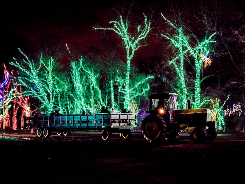 Wagon Ride - Wed, Dec 10 2025