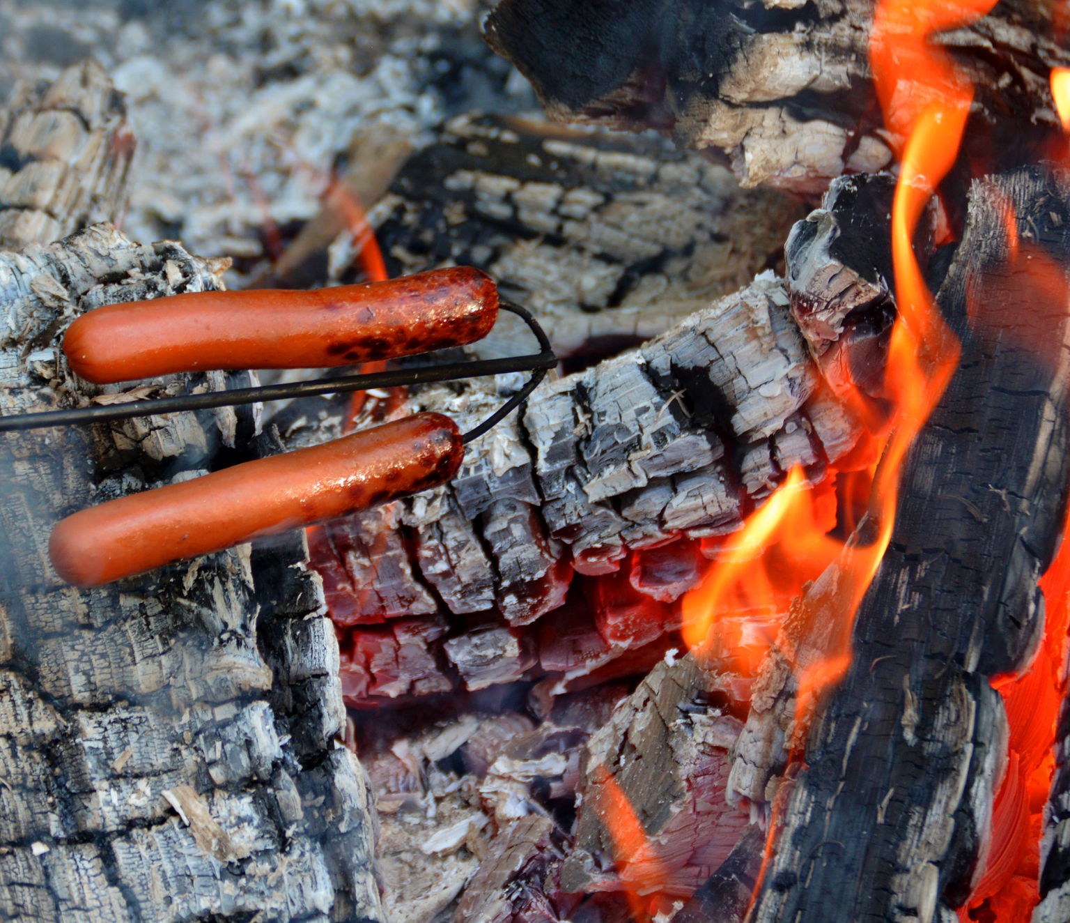 Campfire Hot Dog Package