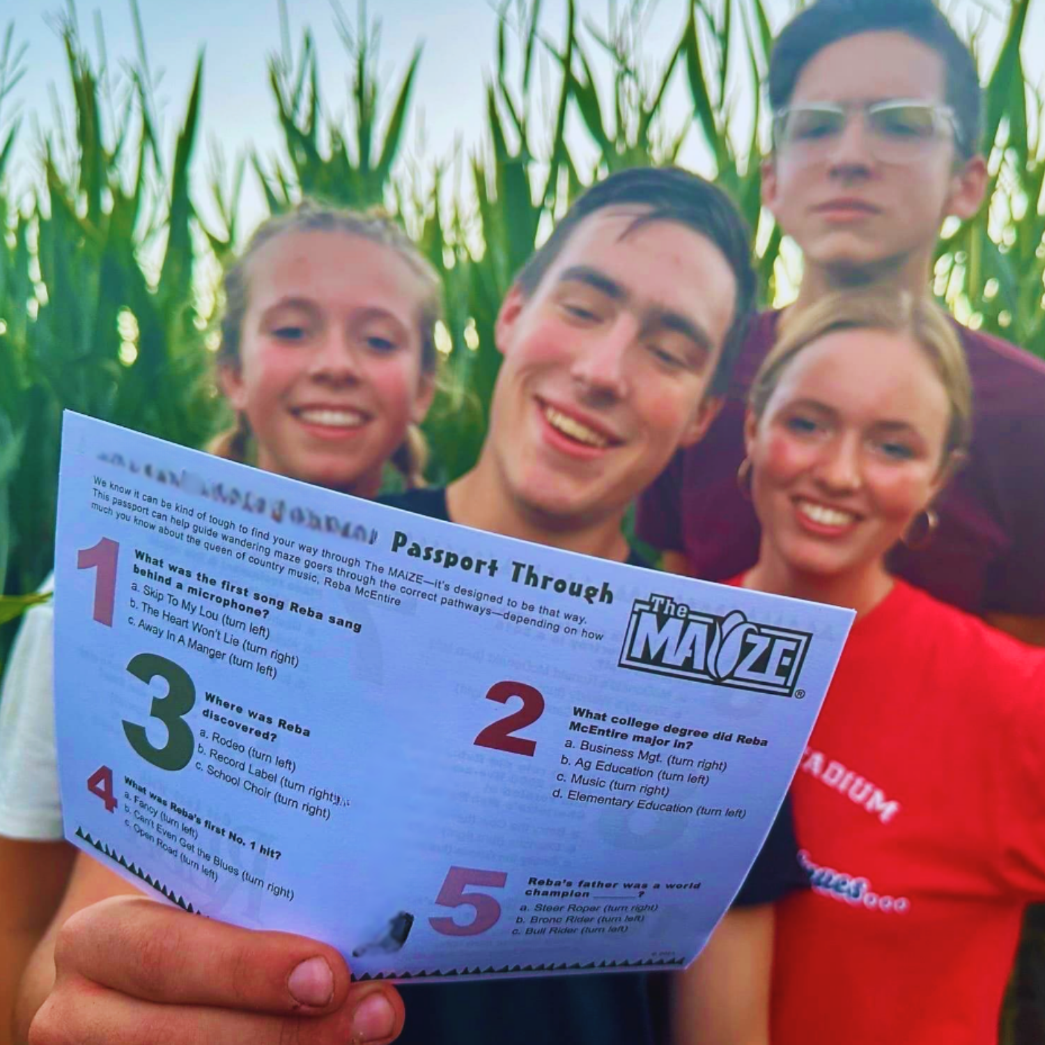 corn maze