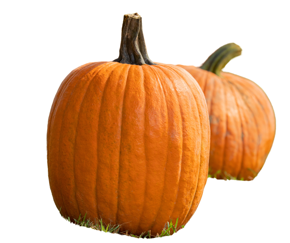 Wholesale Fall | Medium Face Pumpkin Bin
