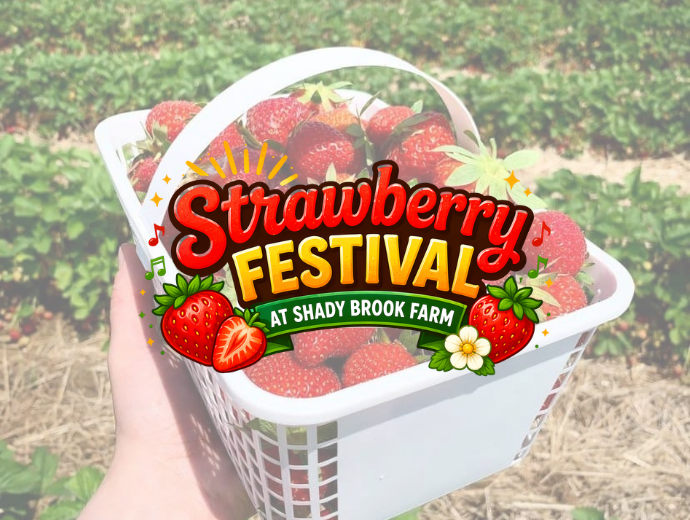 Basket of strawberries with 'Strawberry Festival at Shady Brook Farm' text overlay.