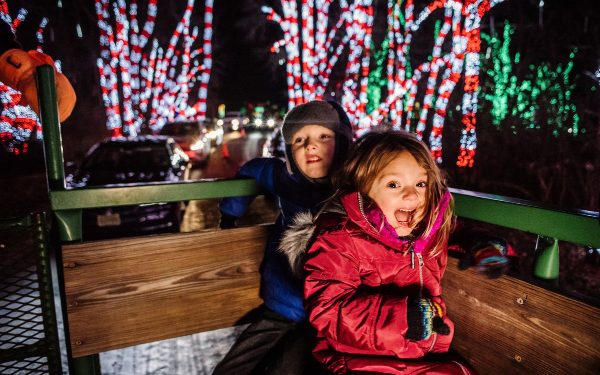 Holiday Light Show Wagon Rides