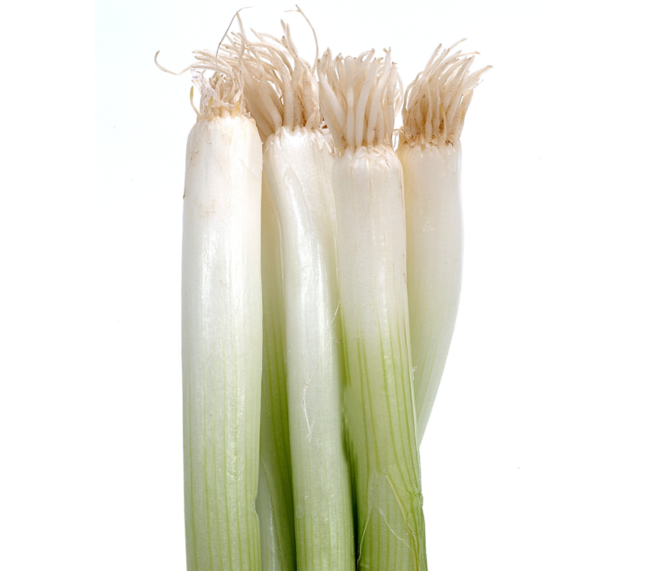 Scallions/Green Onions