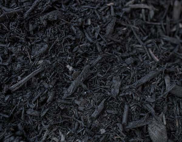 Image of Close-up of black mulch bulk
