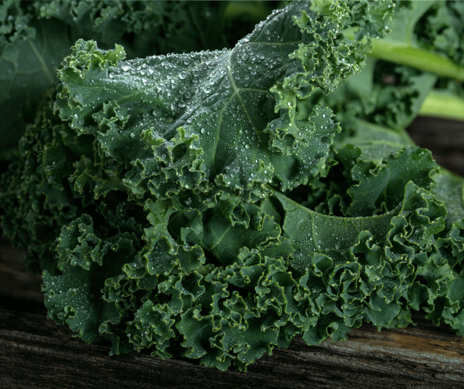 Curly Kale, homegrown (bunch)
